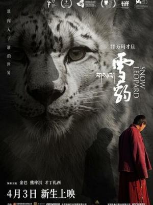 上班那些事